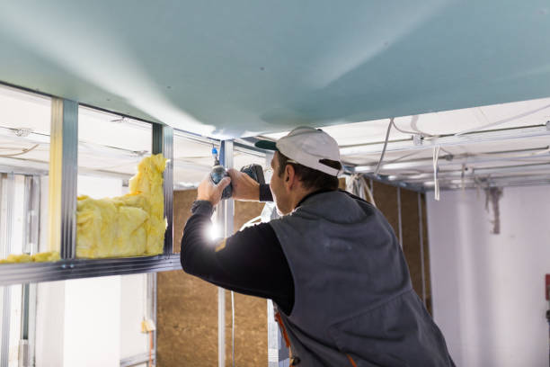 Best Residential Insulation in Colton, CA